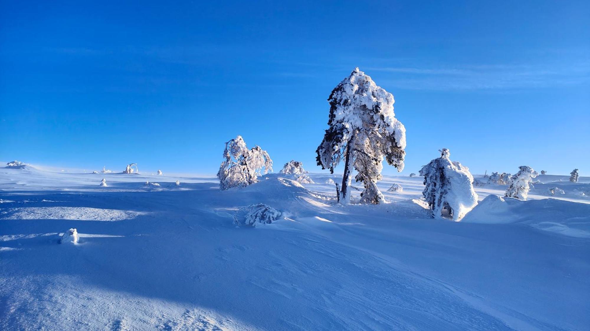 Hotel Fulufjellet Ljørdal Zewnętrze zdjęcie