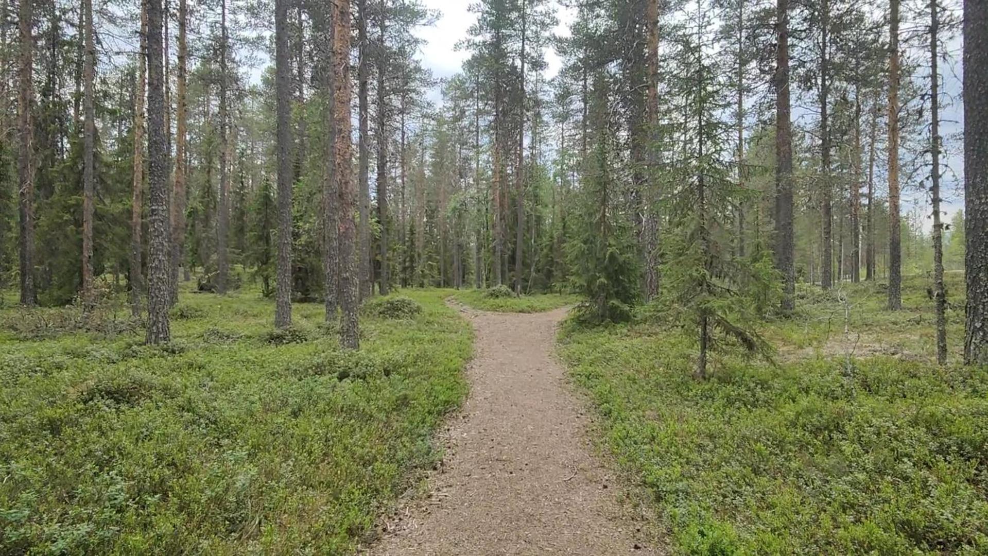 Hotel Fulufjellet Ljørdal Zewnętrze zdjęcie