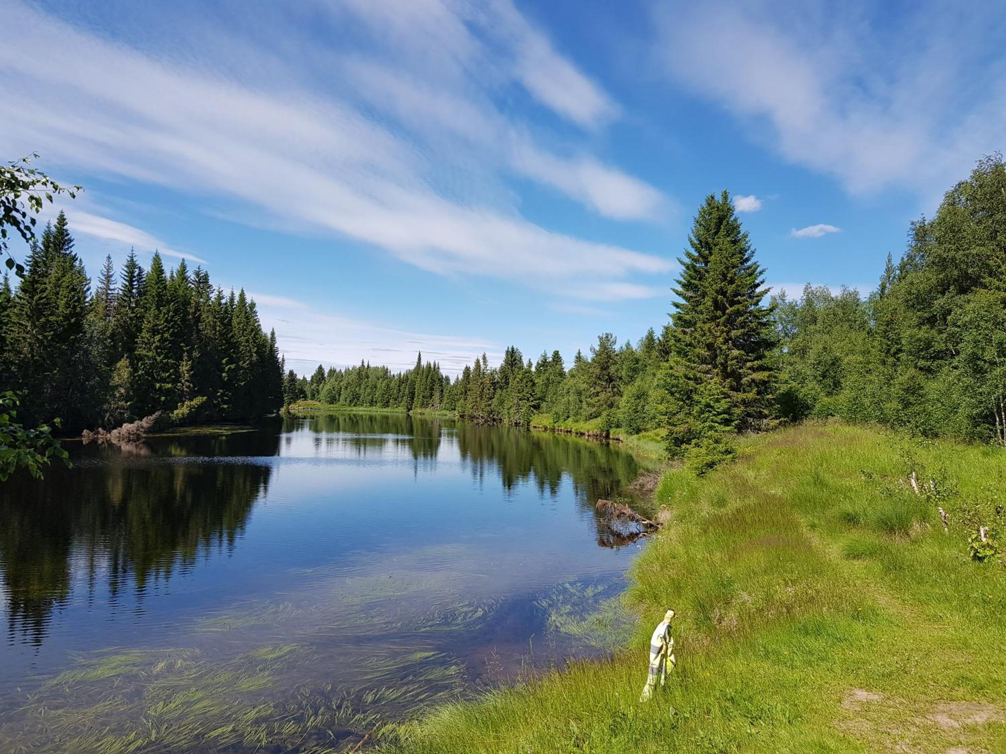 Hotel Fulufjellet Ljørdal Zewnętrze zdjęcie